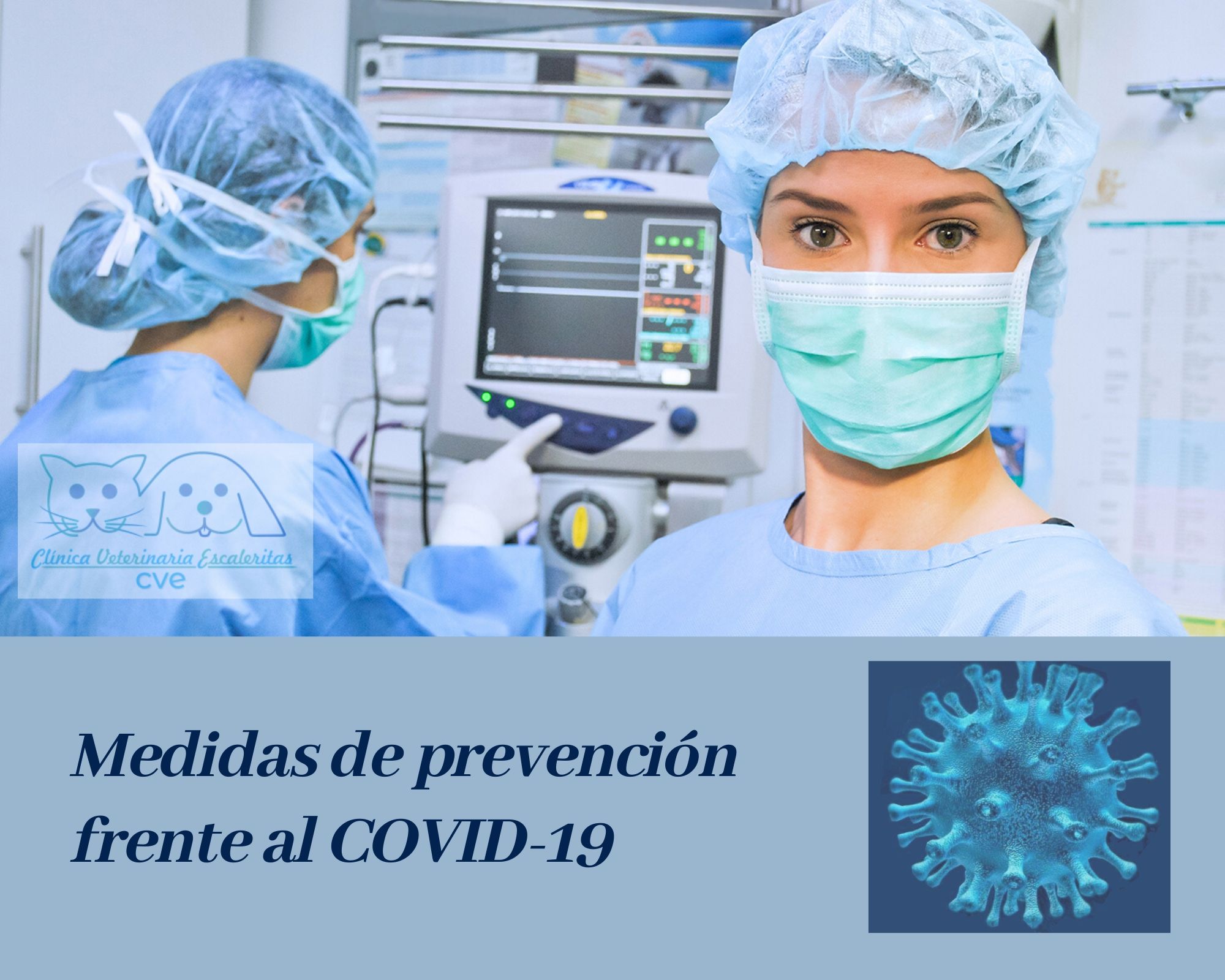 Prevencion Frente Al Covid 19 Clinica Veterinaria Escaleritas